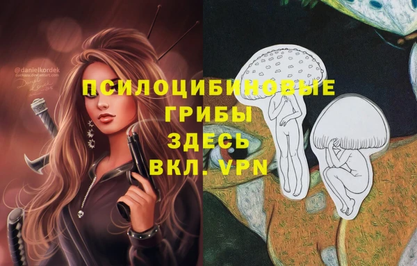 крисы Белокуриха