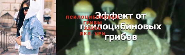 крисы Белокуриха