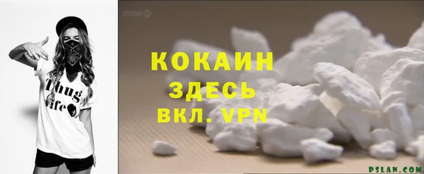 крисы Белокуриха