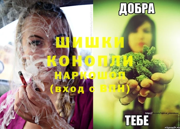 крисы Белокуриха